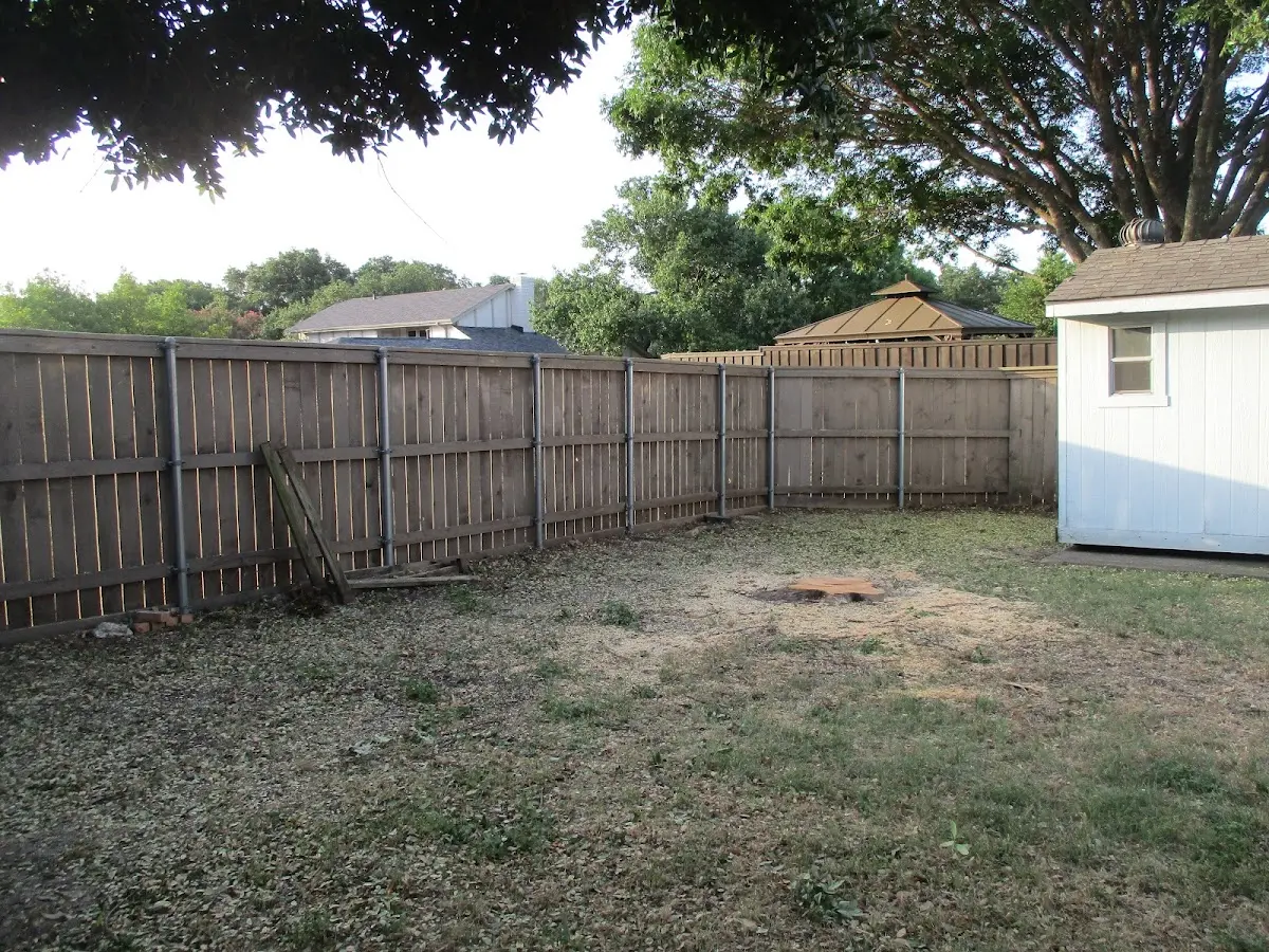 Cleared yard after professional tree removal in Peggs